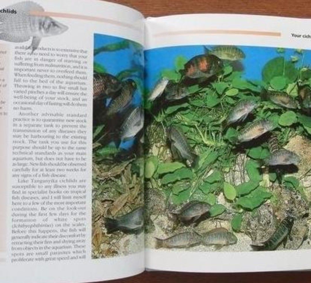 タンガニイカ シクリッド ガイド Tanganyika Cichlids 図鑑 アフリカンシクリッド 洋書 写真集 熱帯魚