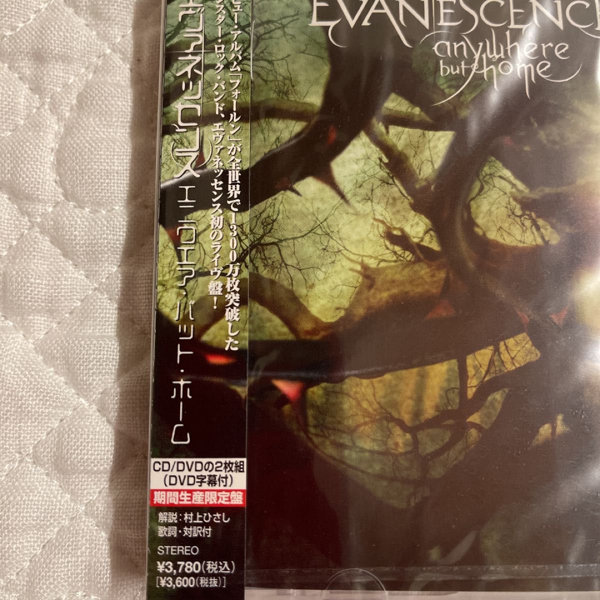 EVANESCENCE エヴァネッセンスCD anywhere but home