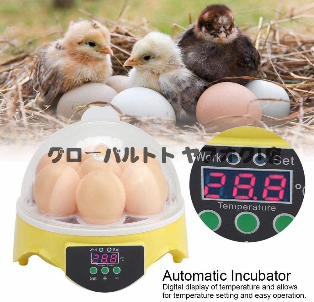  новый товар автоматика . яйцо контейнер in kyu Beta -7 шт автоматика температура управление простой функционирование цифровой отображать hi ширина рождение ребенок образование для маленький размер куриное яйцо a Hill для бытового использования S895