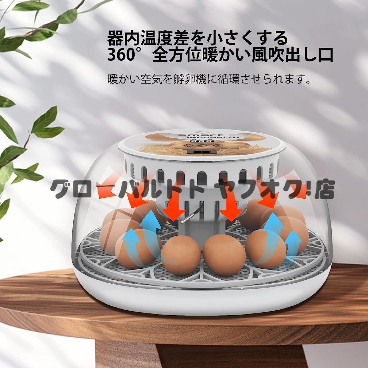  popular recommendation automatic . egg vessel in kyu Beta - birds exclusive use automatic rotation egg type a Hill goose ... chicken etc. house .. egg vessel 12 piece insertion egg possibility child education for home use S894