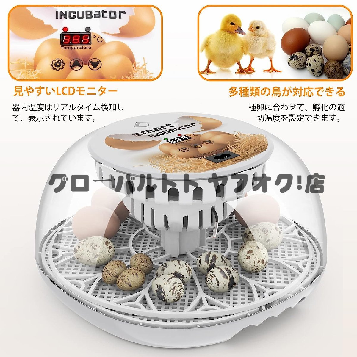  popular recommendation automatic . egg vessel in kyu Beta - birds exclusive use automatic rotation egg type a Hill goose ... chicken etc. house .. egg vessel 12 piece insertion egg possibility child education for home use S894