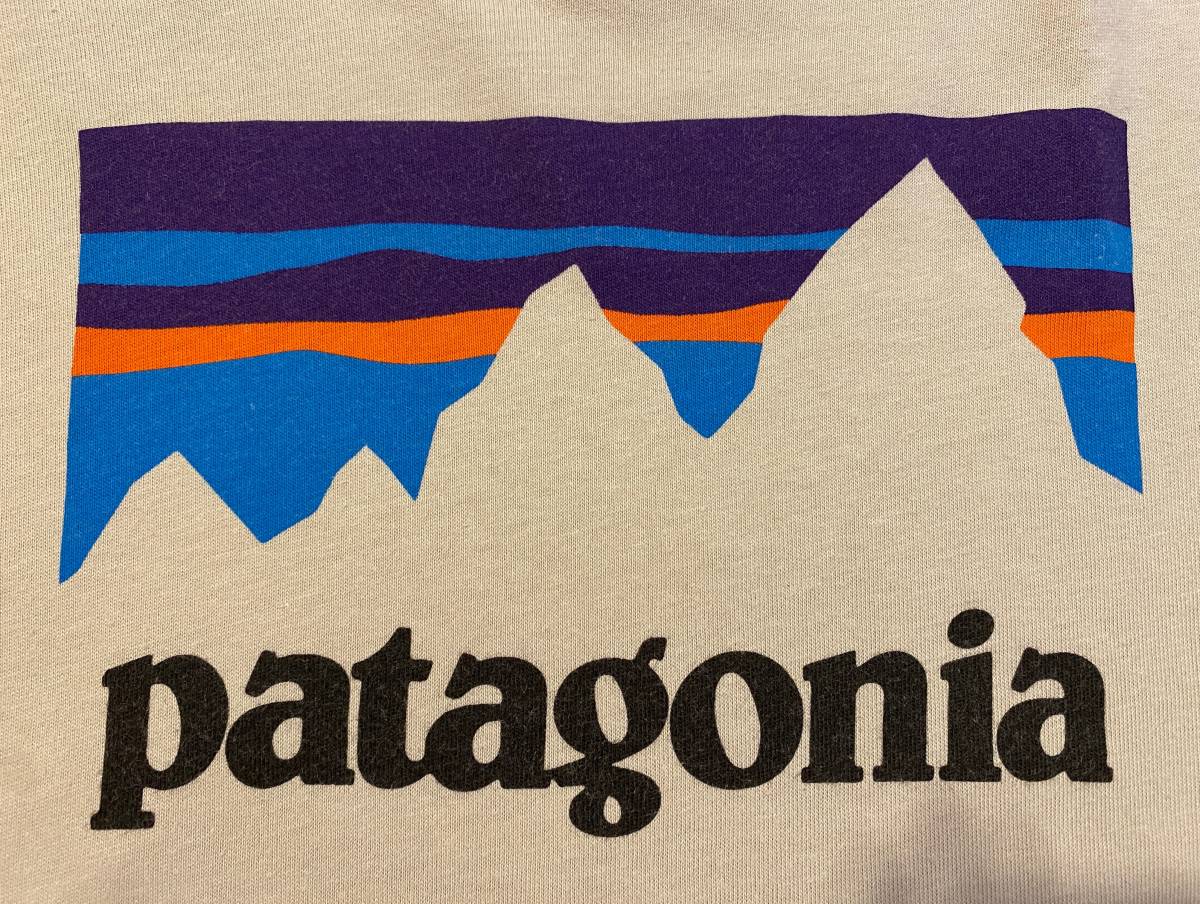 USA製 パタゴニア プリント 半袖 Tシャツ メンズ M 古着 Patagonia アウトドア ロゴ_画像4