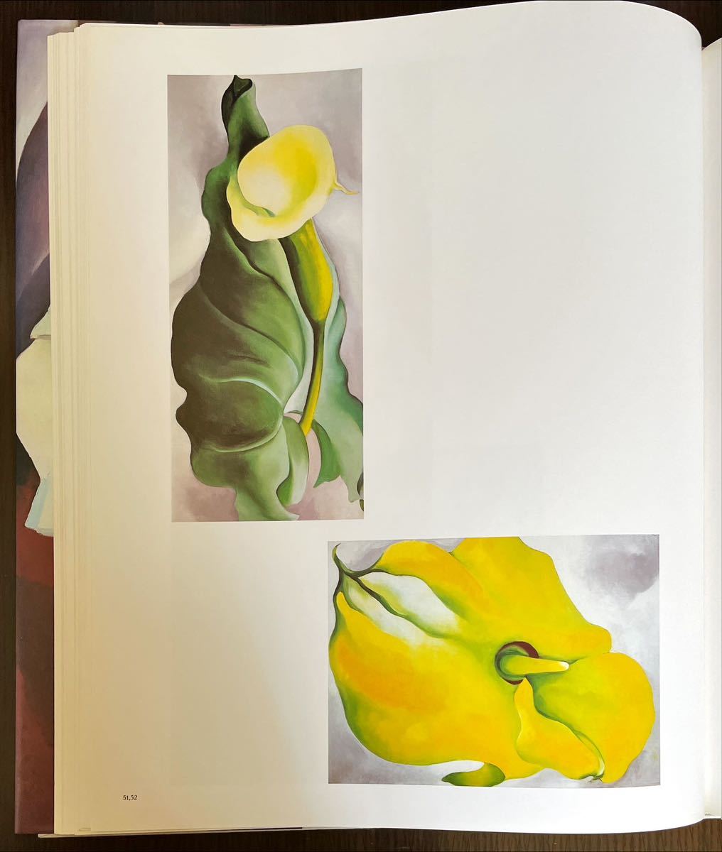 o key f book of paintings in print [ flower ]
