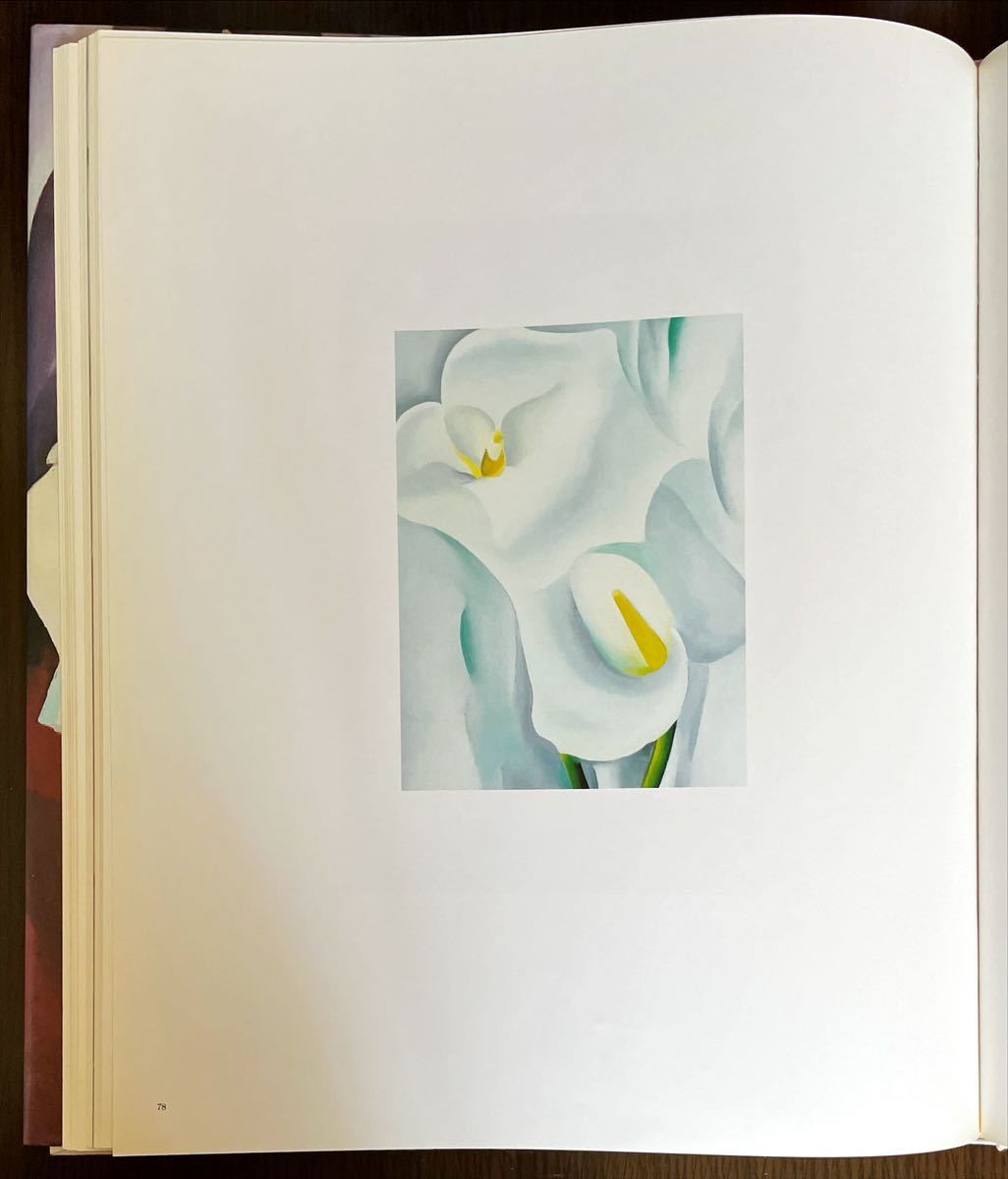 o key f book of paintings in print [ flower ]