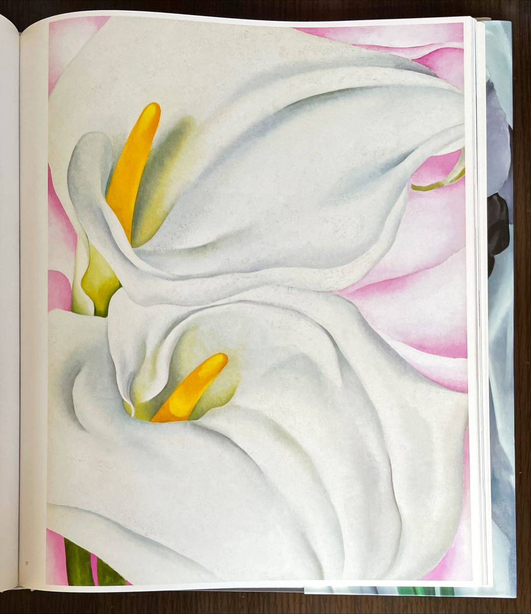 o key f book of paintings in print [ flower ]