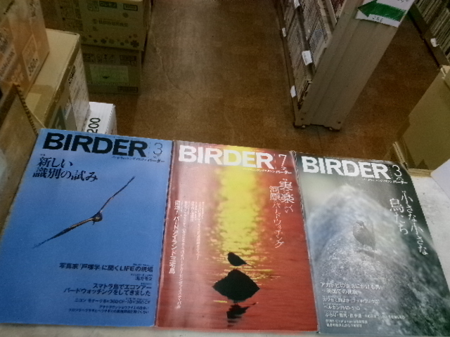 バードウォッチングマガジンBIRDER(バーダー)８冊　小さな小さな鳥たち　新しい識別の試み　鳥はなぜ鳴く　モズ、他　文一総合出版_画像3