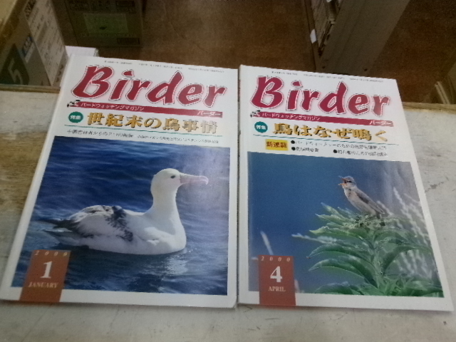 バードウォッチングマガジンBIRDER(バーダー)８冊　小さな小さな鳥たち　新しい識別の試み　鳥はなぜ鳴く　モズ、他　文一総合出版_画像5