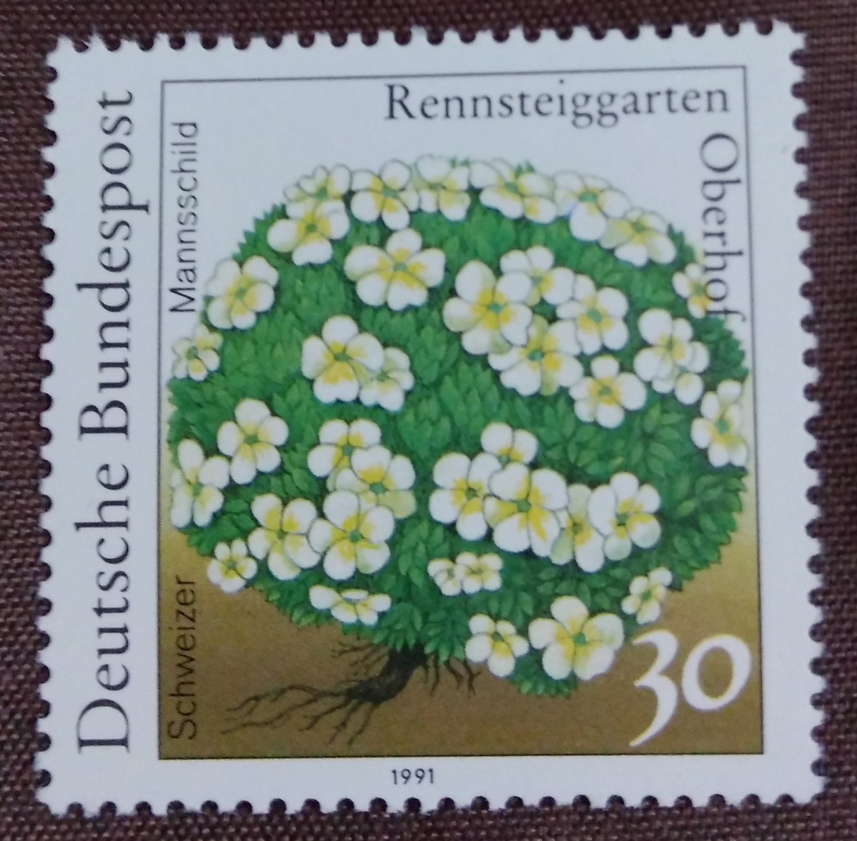 ドイツ連邦共和国　西ドイツ　1991 自然環境保護　植物　5完　未使用糊あり_画像6