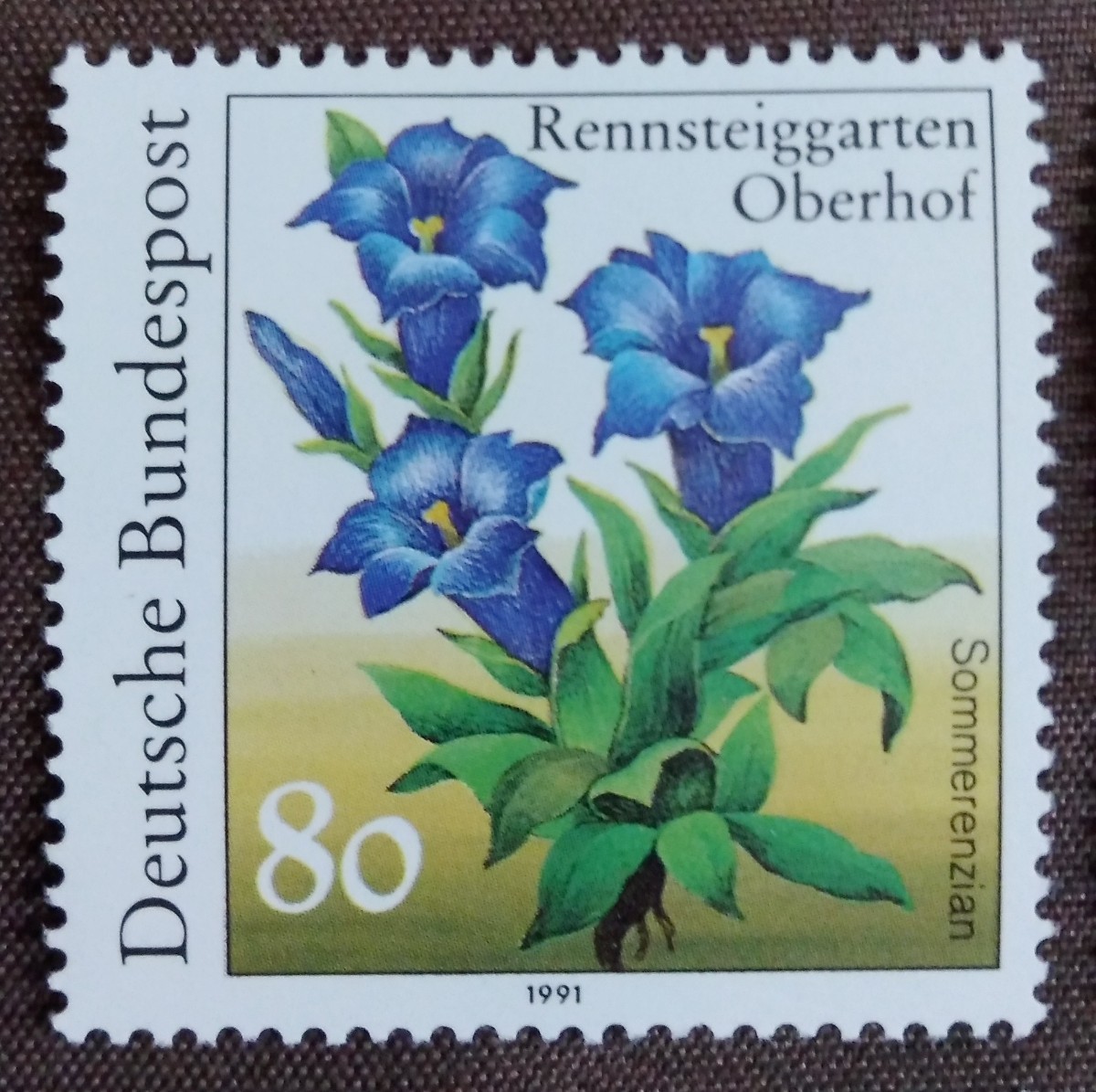 ドイツ連邦共和国　西ドイツ　1991 自然環境保護　植物　5完　未使用糊あり_画像4