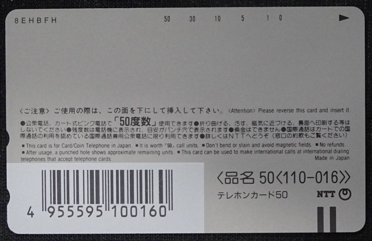 テレホンカード 小柳ルミ子 大澄賢也 未使用 ５０度数 テレカ ランクB t-364_画像2