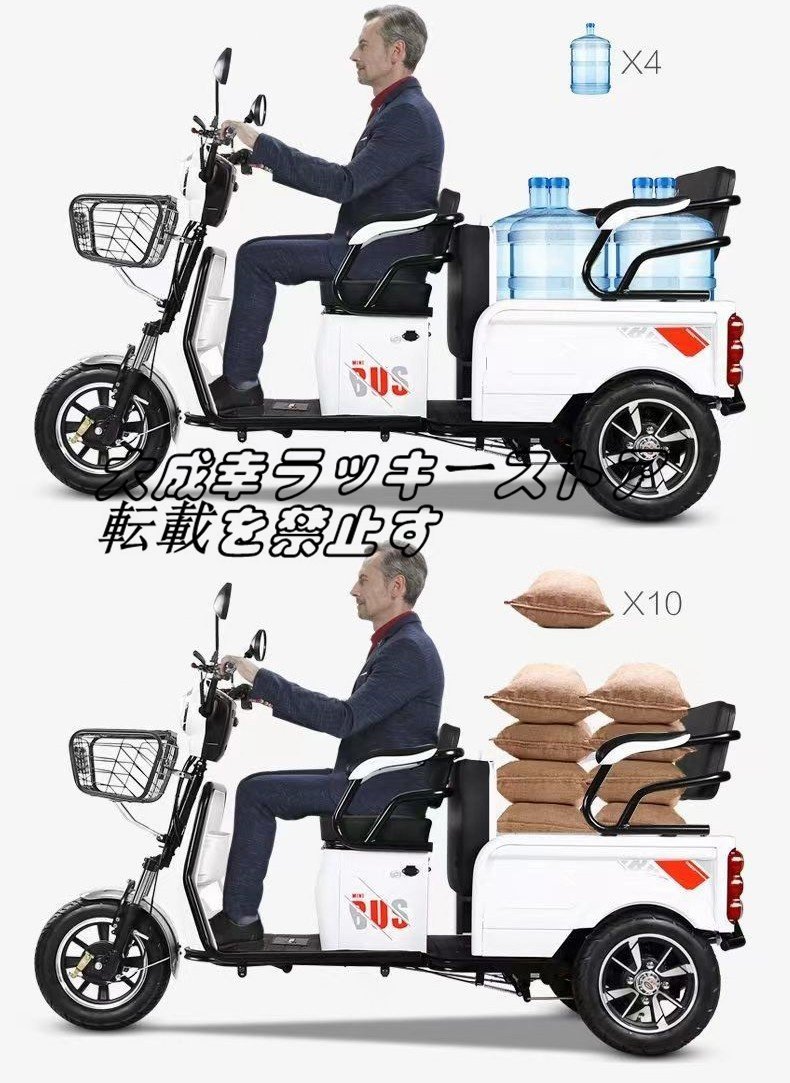 強くお勧め 高齢者向けの電動三輪車 家庭用 三輪車レジャー旅行