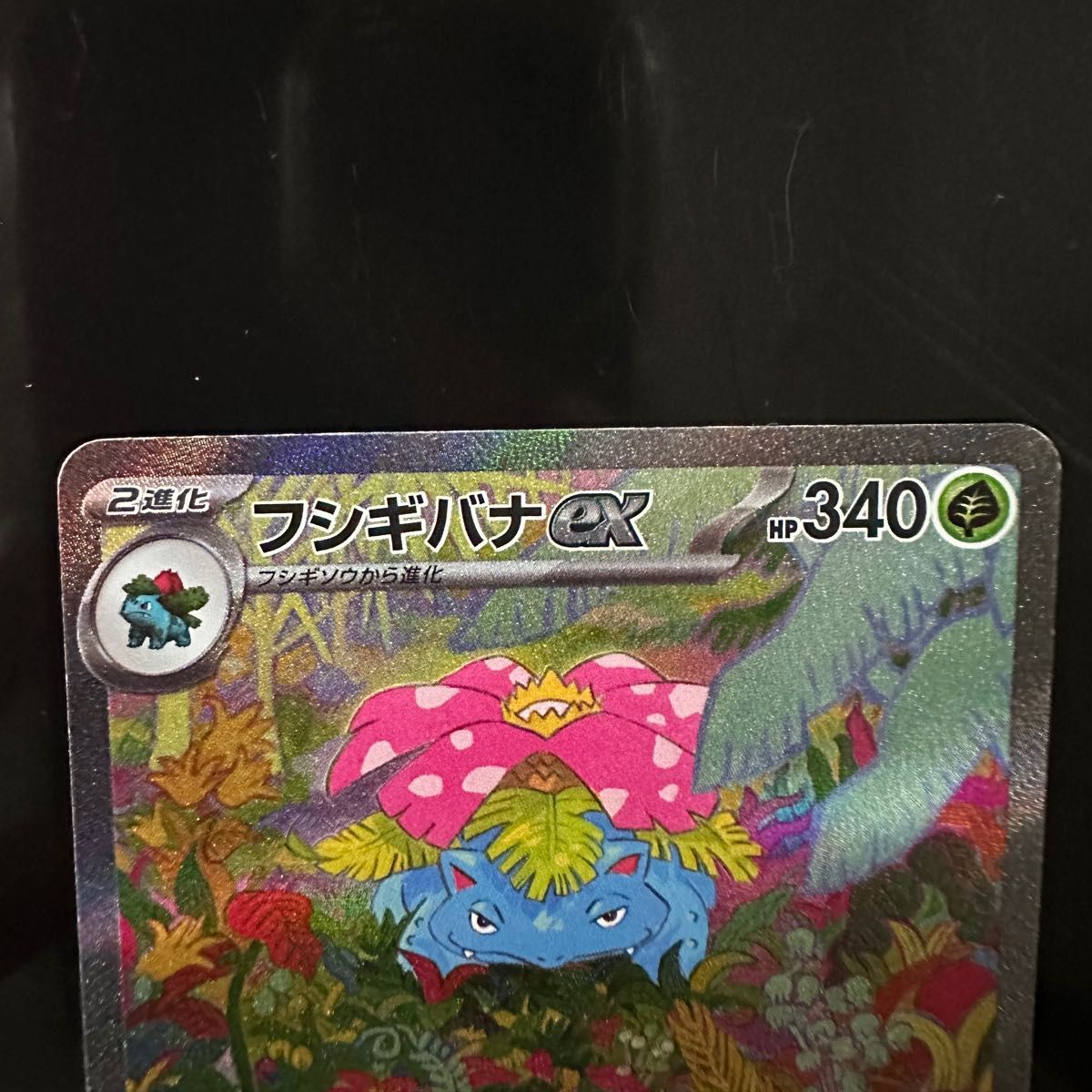 ポケモンカード151 フシギバナex SAR ポケモン もうどくウィップ ポケモンカード151 フシギバナex SAR ポケモン もうどくウィップ