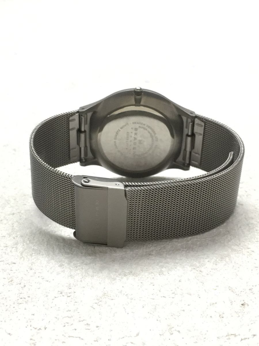 SKAGEN* кварц наручные часы / аналог /BLK/SLV