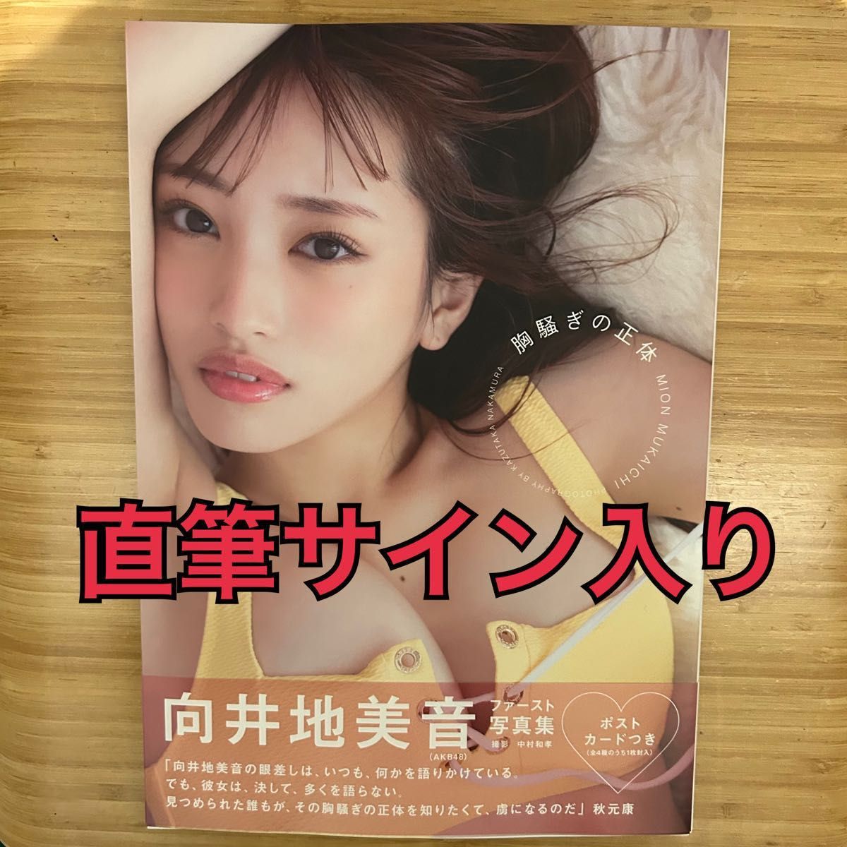 向井地美音　直筆　サイン入り写真集　胸騒ぎの正体  AKB48