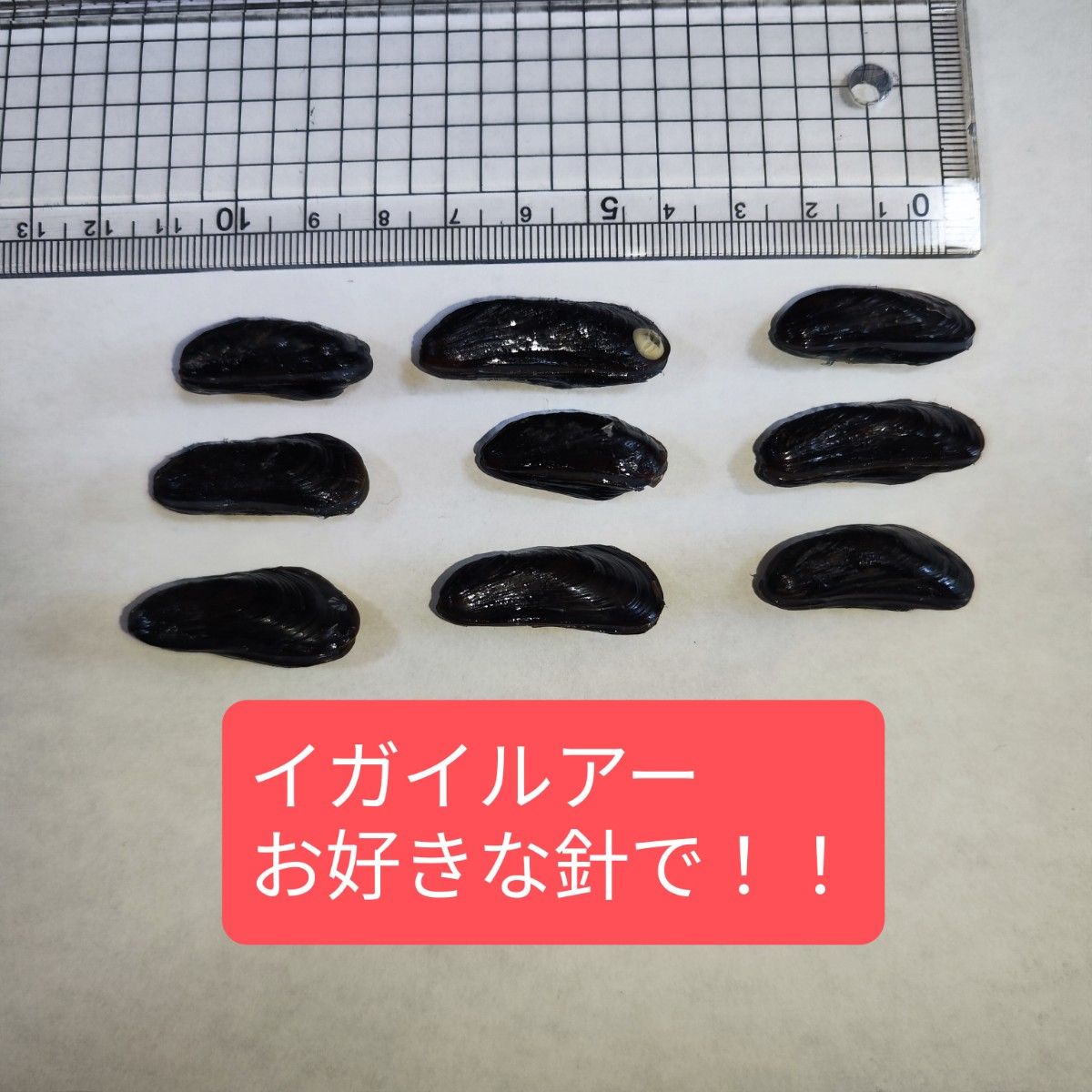 【値下】イガイルアー カラス貝ルアー9個セット 擬似餌 へち釣り