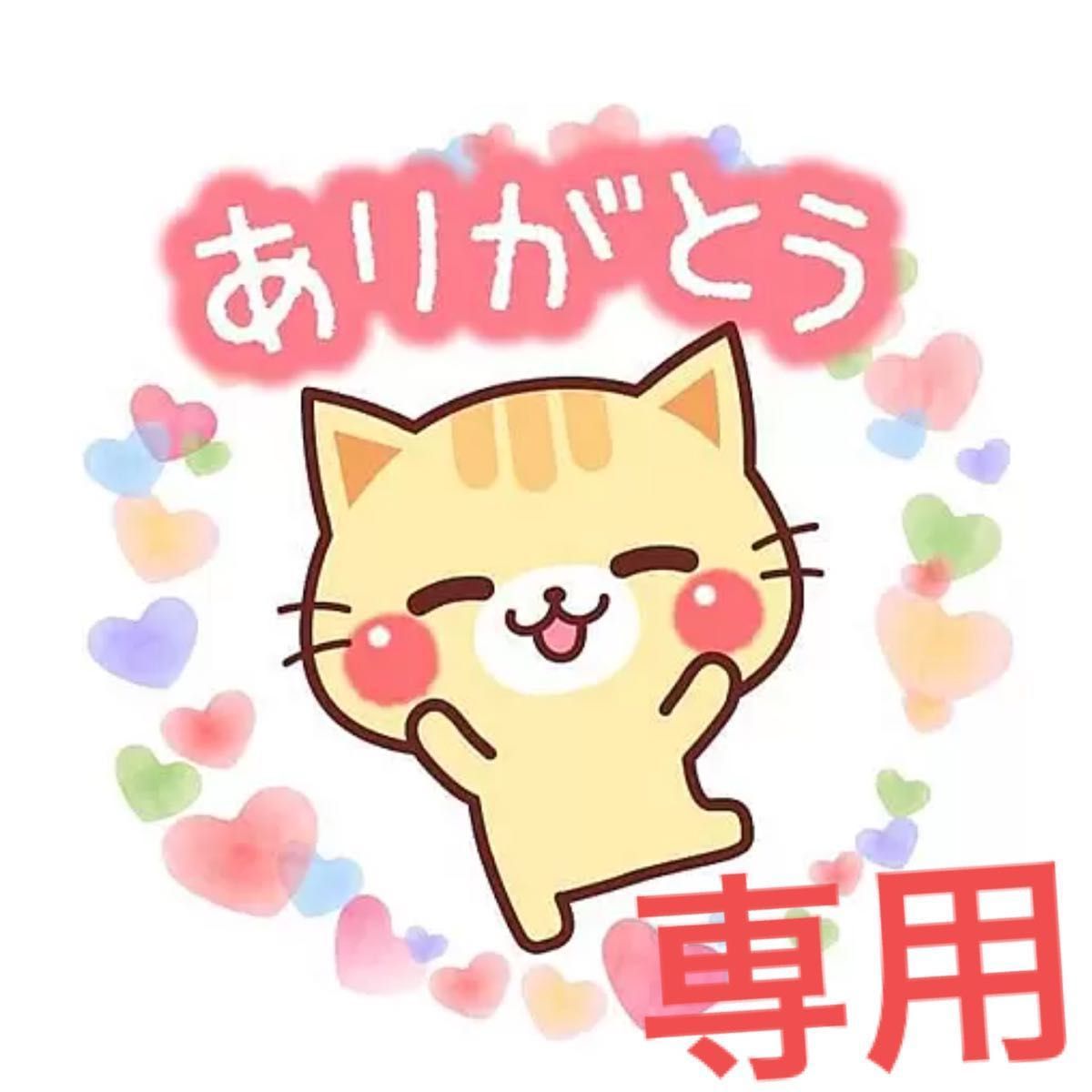 たぬきちさん 専用