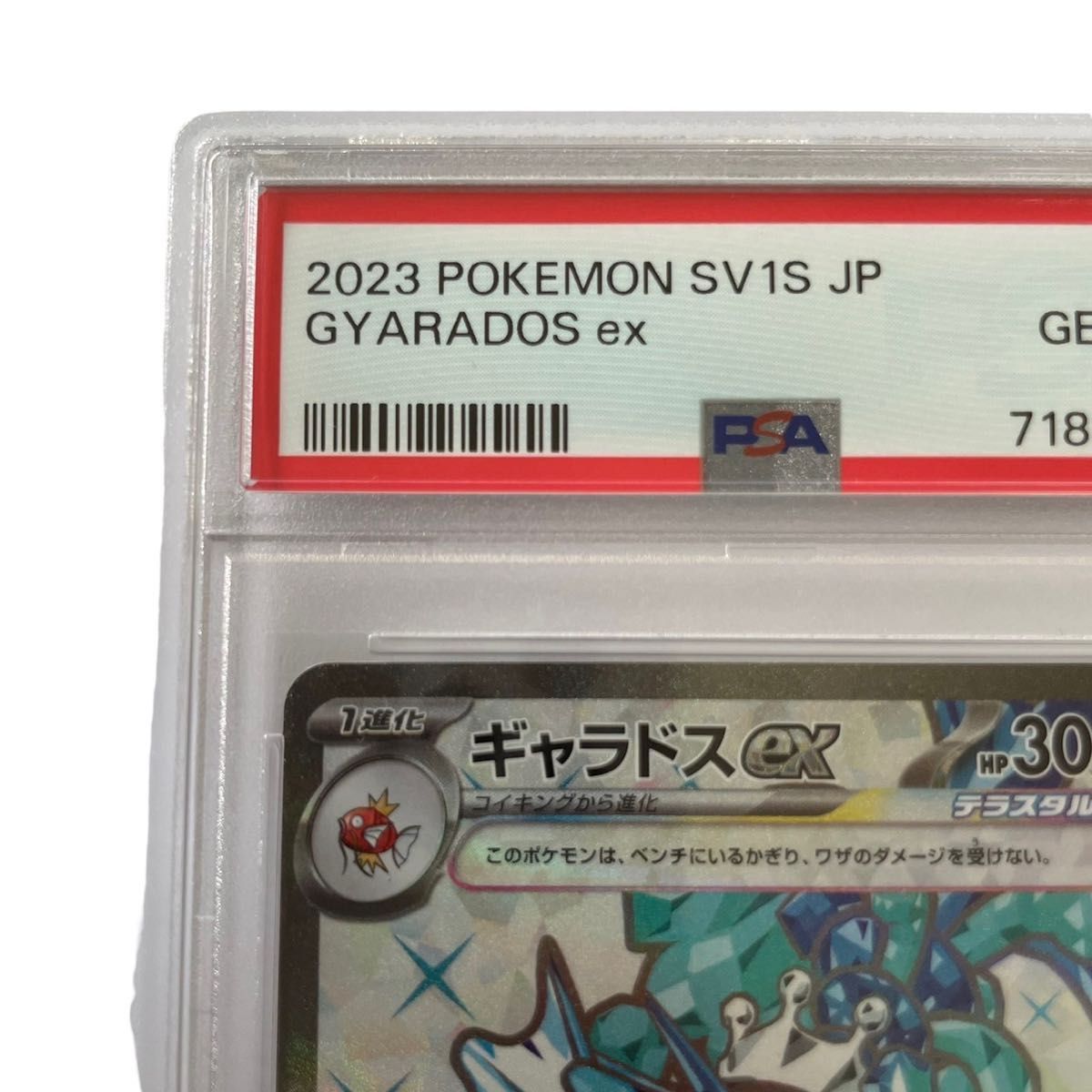 【PSA10】極美品 ポケモン カード ギャラドス ex SR テラスタル