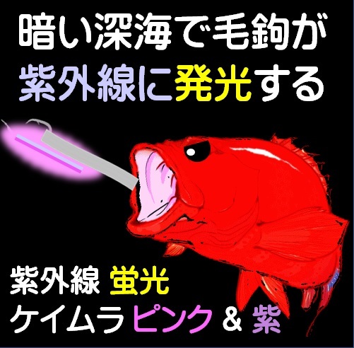 ベニアコウ 仕掛け アブラボウズ 仕掛け ケイムラピンク&パープルツートンコンビフラッシャー ムツ針28号 太地 ５本組 ベニアコウ仕掛け