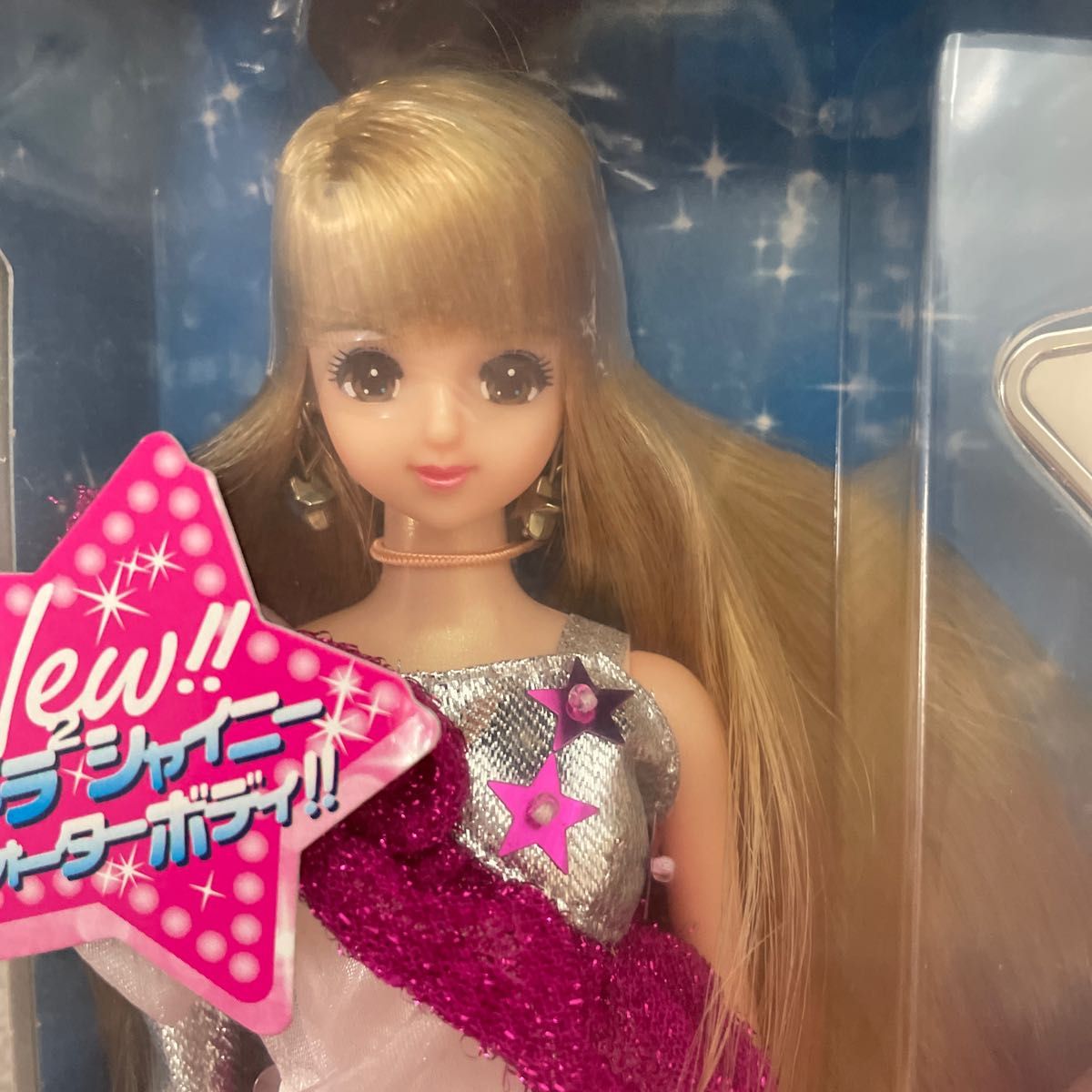 1997 Special Edition Brunette Version Club Wedd Barbie(バービー