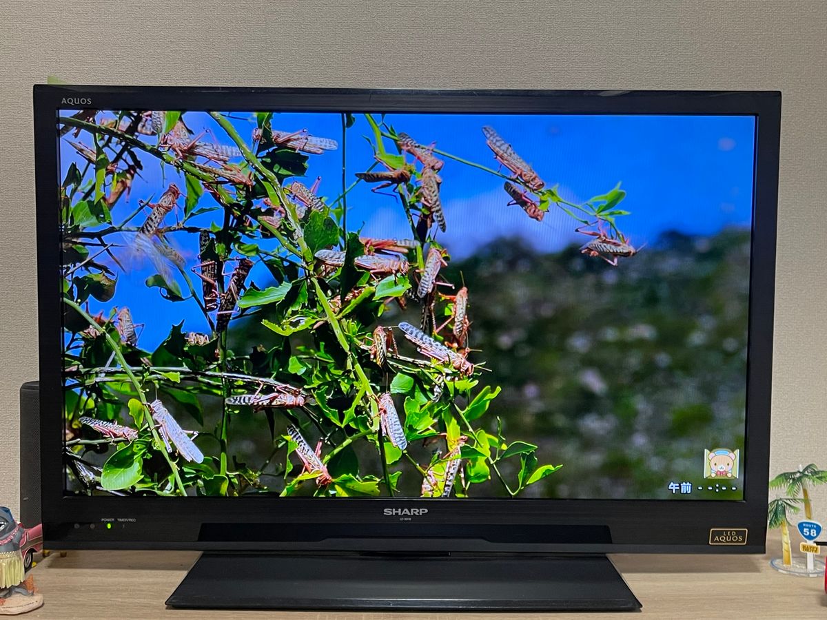 SHARP AQUOS 液晶テレビ2013|Yahoo!フリマ(旧PayPayフリマ) SHARP AQUOS 液晶テレビ2013|Yahoo!フリマ(旧PayPayフリマ)