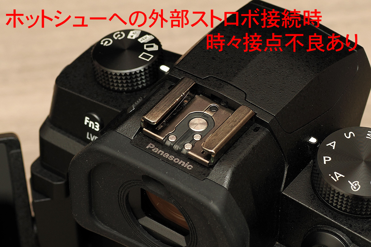 訳あり パナソニック LUMIX DC-G99 ボディ 予備バッテリー付き 送料無料
