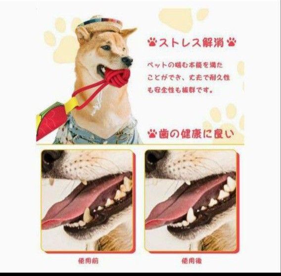 犬 おもちゃ ロープ 噛むおもちゃ 音が鳴る 犬用玩具 運動不足　清潔 歯磨き 洗える（パロット型）　新品未使用