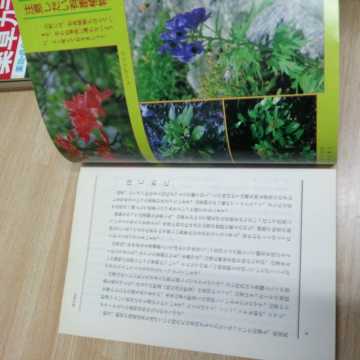  total 2 pcs. medicinal herbs color illustrated reference book : medicine effect * ingredient * use person edible wild plants fruits sake medicine sake .. person making person cultivation law postage 185 jpy other 