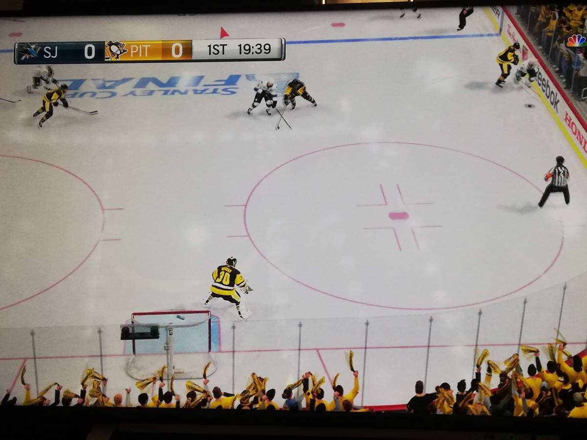 【即決&動作確認済】 EA SPORTS NHL 17 / 輸入版:北米 / NHL公認のアイスホッケーゲーム / PS4ソフト