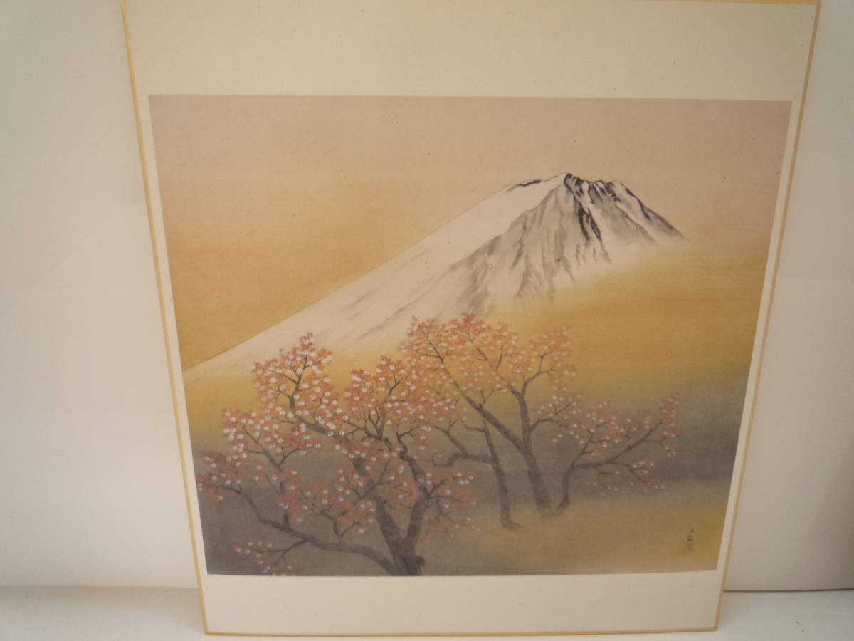 * width mountain large .[ regular .. light ] square fancy cardboard Mt Fuji Sakura Harima shop head office quality product . fortune heaven .