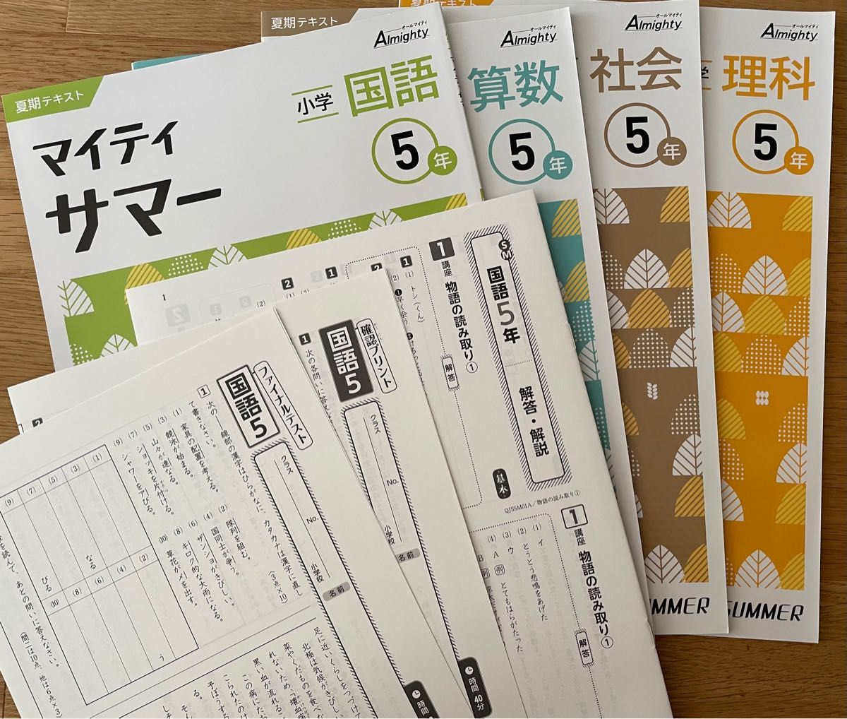 【塾用教材】小学5年　マイティサマー　国語　算数　理科　社会　4冊セット