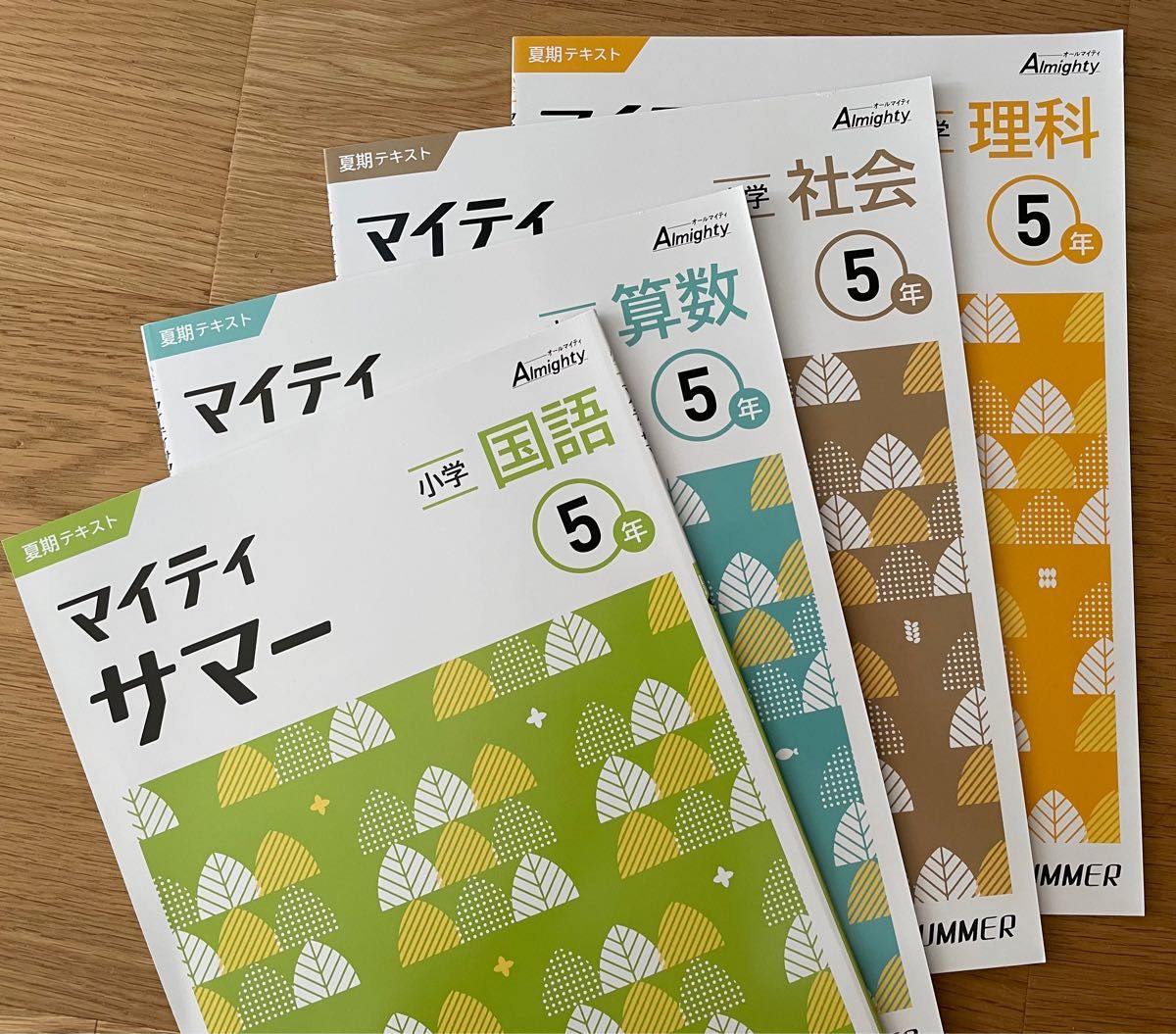 【塾用教材】小学5年　マイティサマー　国語　算数　理科　社会　4冊セット