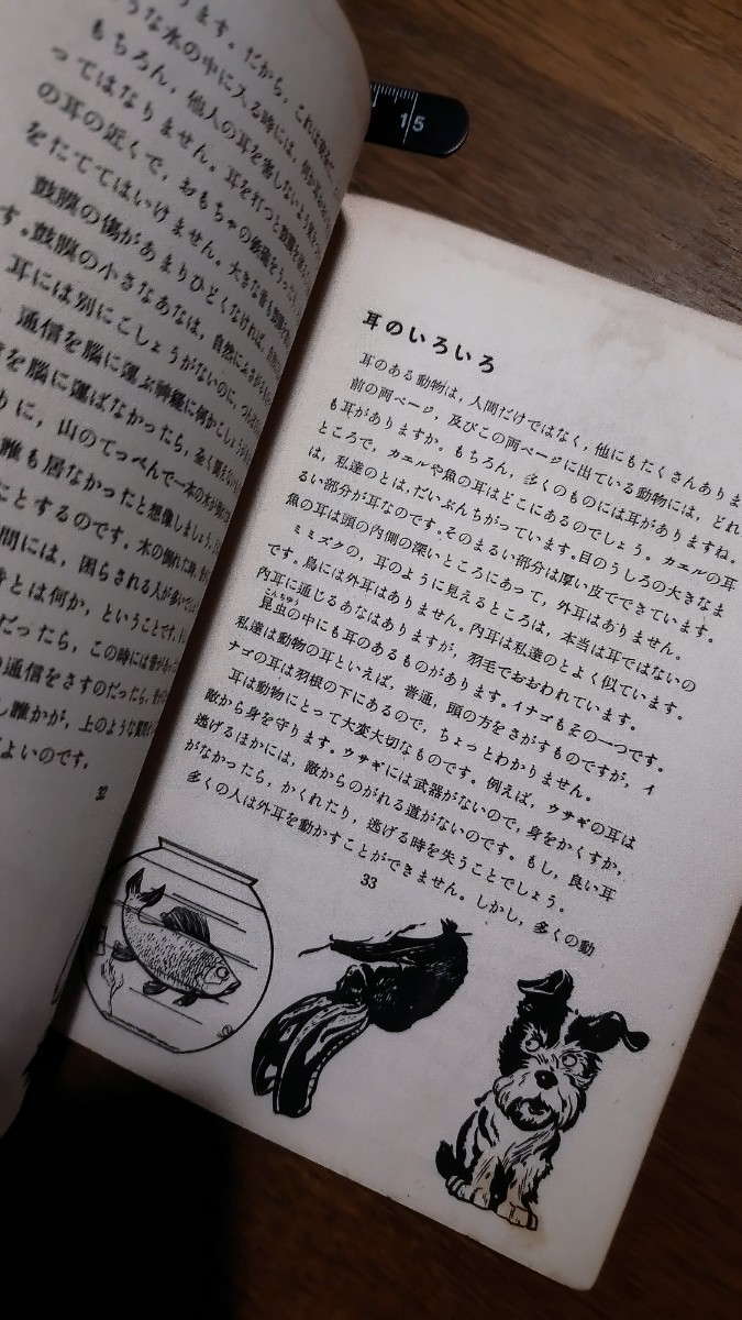 昭和24年 音のはなしの本 廣島図書株式会社 古書 図鑑 サウンド 昭和レトロ 70年以上前_画像3