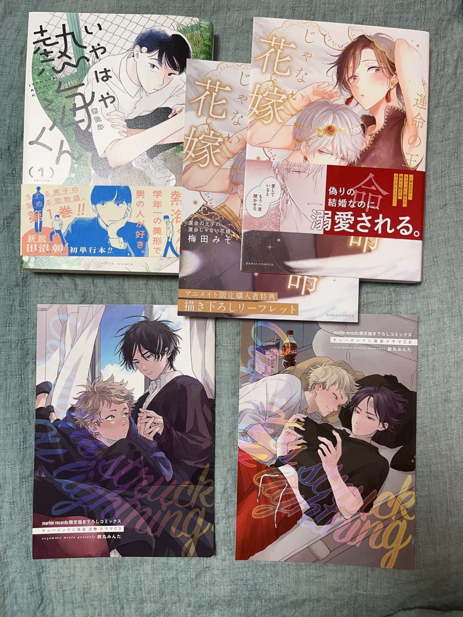 鈴丸みんた キューピッドに落雷 追撃 鈴丸みんた 運命の王子の運命じゃない花嫁 BL リーフレット ドラマCD小冊子 アニメイト