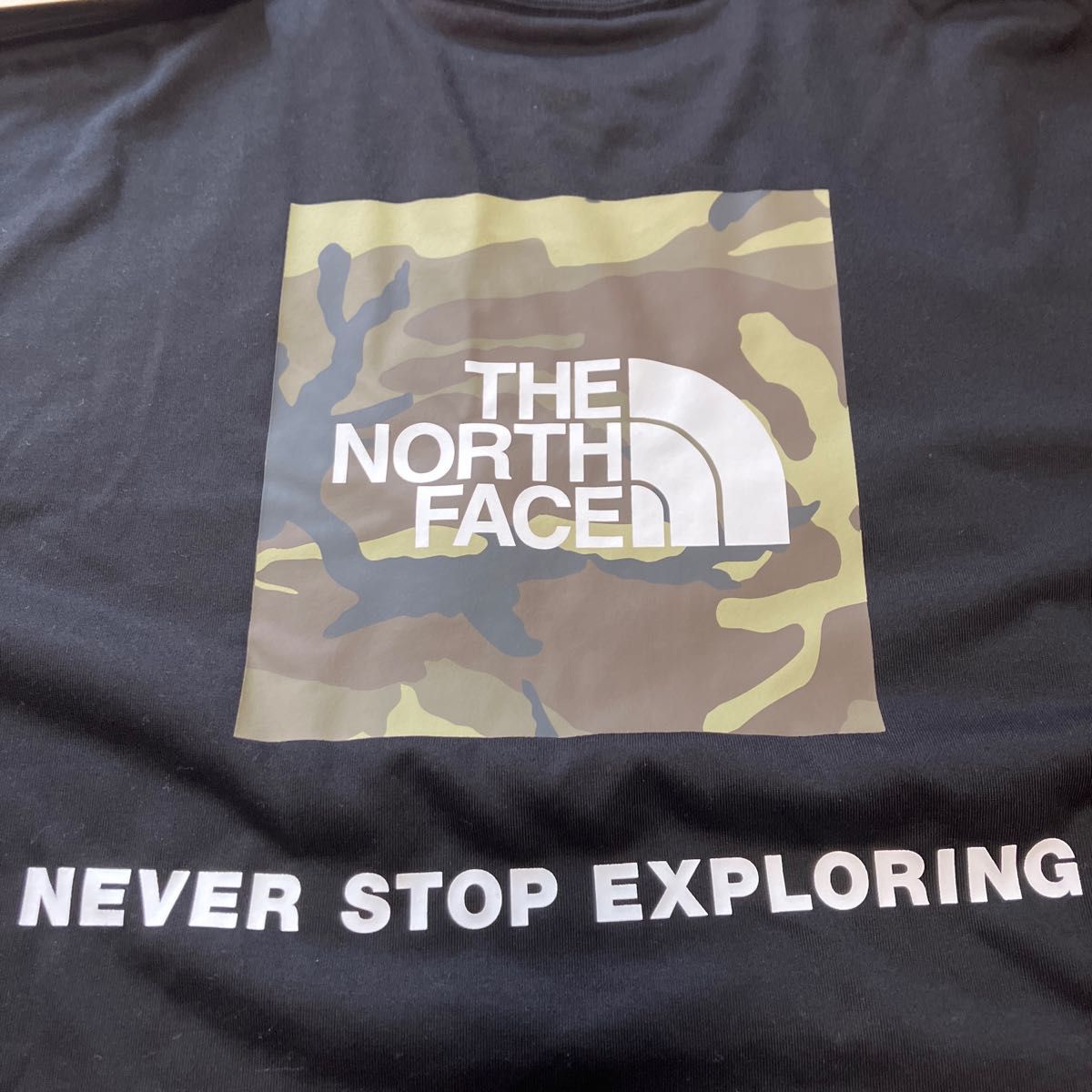 THE NORTH FACE  ノースフェイスNT32357 メンズTシャツブラックXLサイズ バックプリント