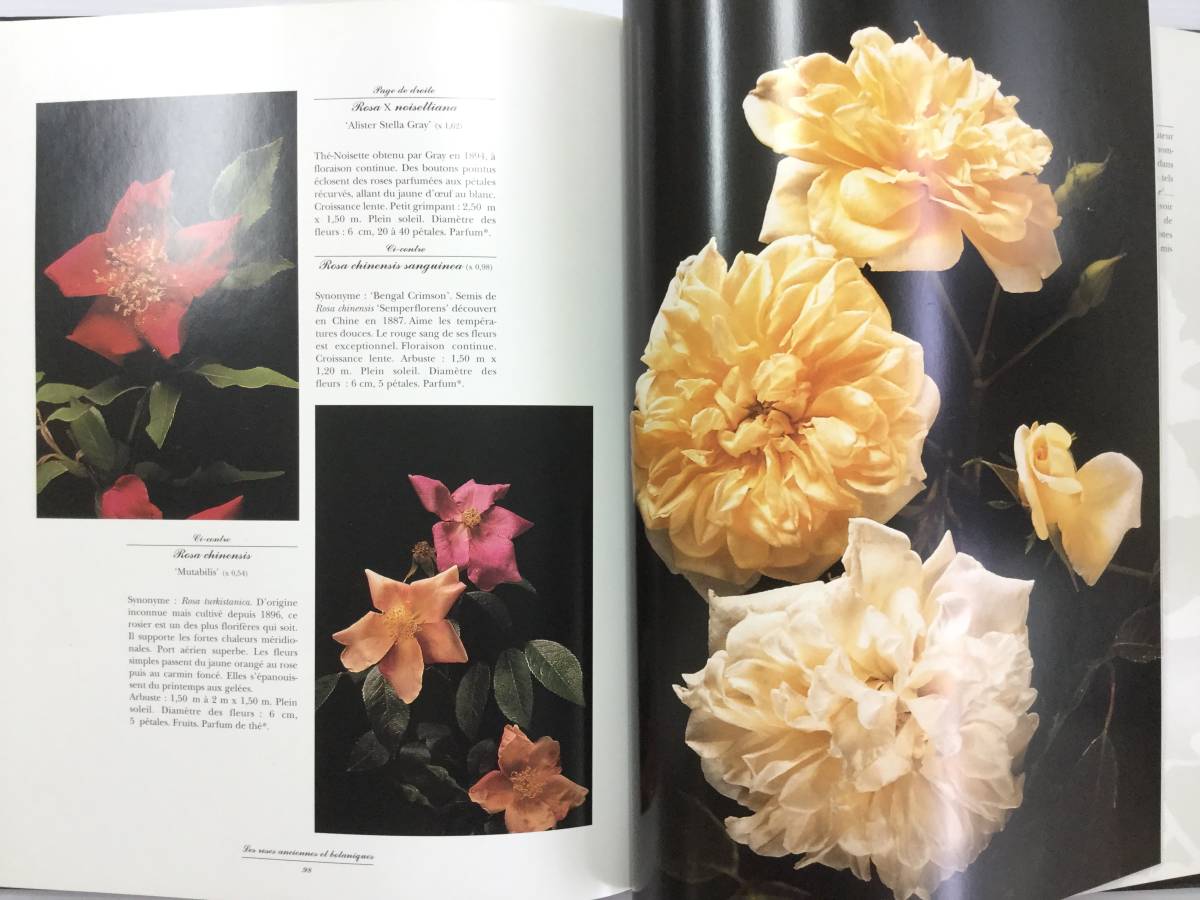  free shipping #ARTBOOK_OUTLET# R1-015 * rose rose gorgeous photoalbum France ROSES ANCIENNES et BOTANIQUES