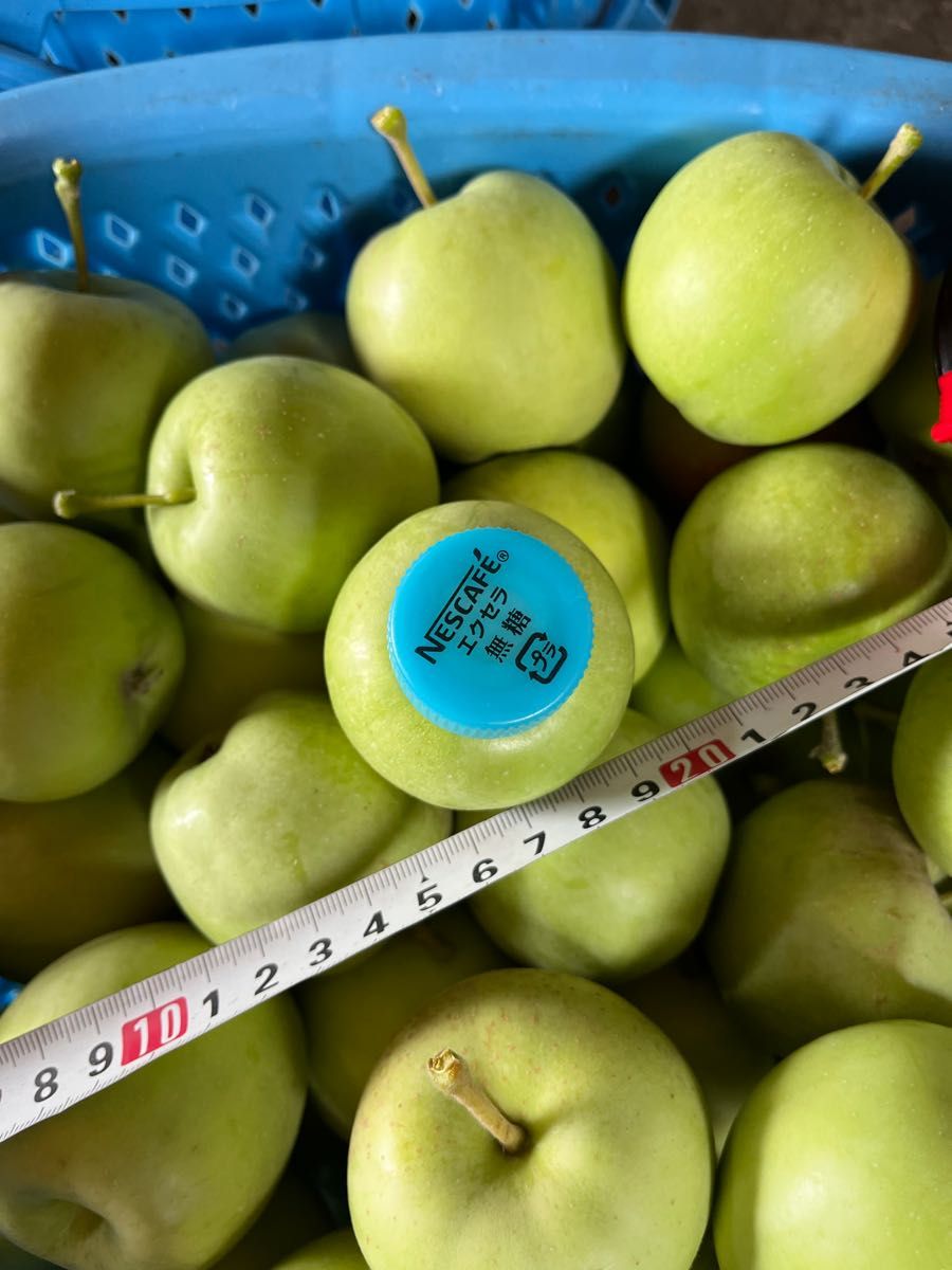 摘果りんご　加工用9kg