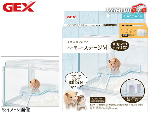 GEX is - moni - stage M small animals supplies toy jeks