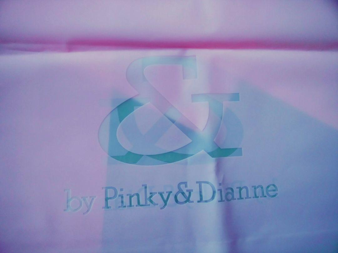 【新品】Pinky&Dianne（ピンキーアンドダイアン）ピンク５枚組ショップ袋_画像2