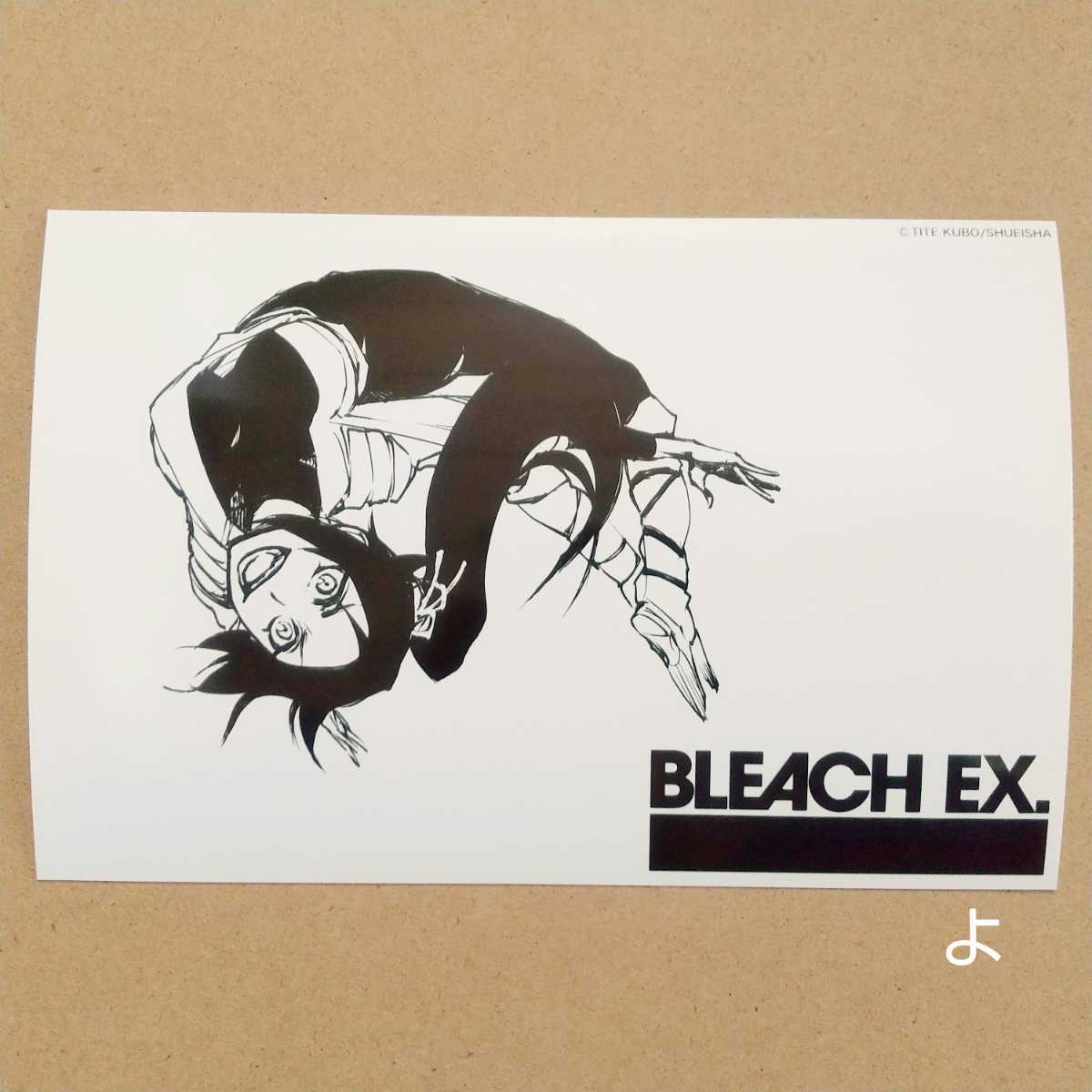 四楓院夜一 ブロマイド 原画展 ブリーチ BLEACH EX．【描きおろし