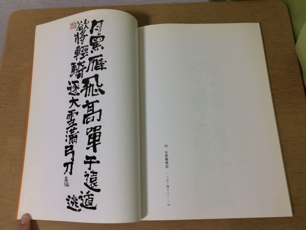 ●K107●真鶴町立中川一政美術館●図録●油彩岩彩書●1989年●即決_画像6