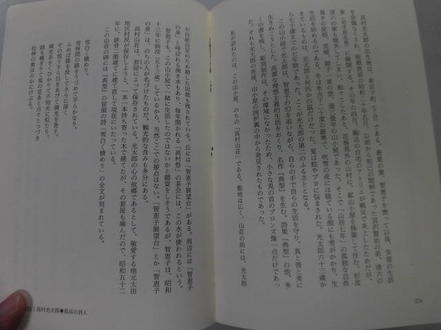 ●P753●文学碑のなかの人生と愛●青柳亨●文学石碑紹介作家論作品論太宰治檀一雄坂口安吾草野心平宮沢賢治石川啄木樋口一葉●即決_画像4