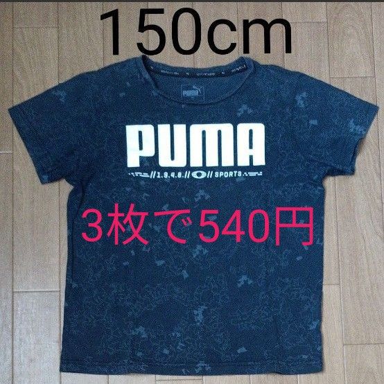 PUMA　150cm　 半袖Tシャツ　プーマ