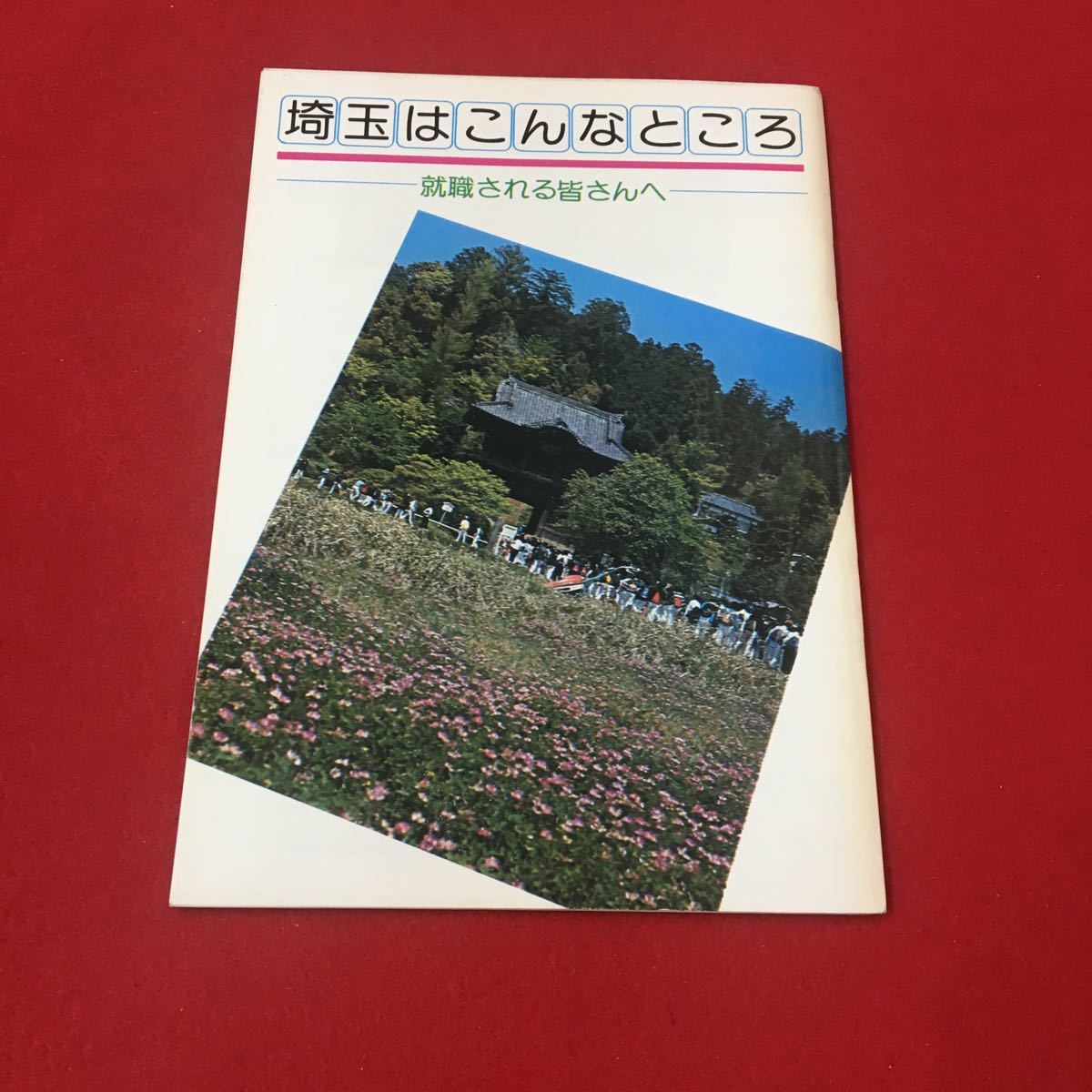 M6b-366 埼玉はこんなところ 就職される皆さんへ 自然 郷土 公園 文化 地図 まちづくり 地方 紹介 ガイド 埼玉県職業安定課:発行_画像1