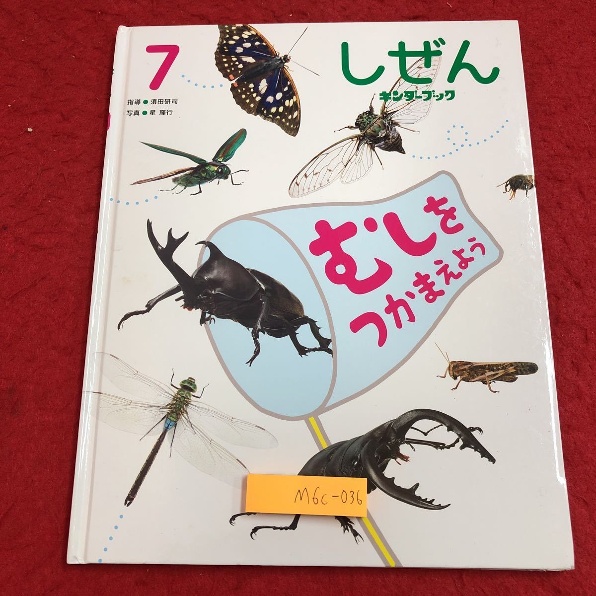 M6c-036 むしをつかまえよう しぜん キンダーブック 第50集第4編 2021年7月1日 発行 フレーベル館 学習 知育絵本 写真 生き物 昆虫 生態_画像1