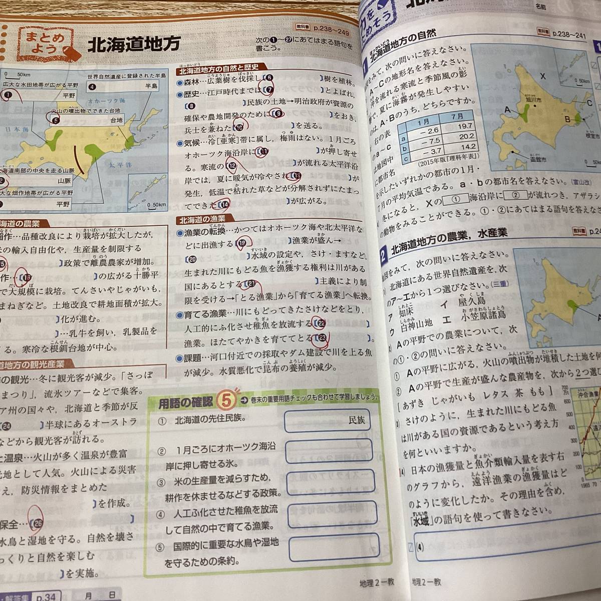 ☆＊７　中学 　地理2　社会の自主学習　解答なし　教育出版　問題集　新学社　教科書参考ワーク　送210円～_画像4