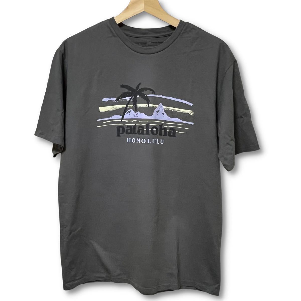 世界的に有名な 【ハワイ限定品】Patagonia オーガニック Tシャツ