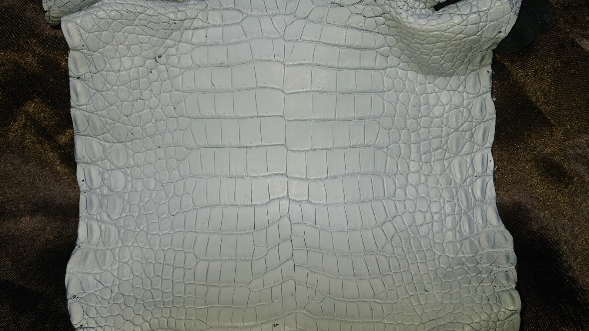 実物大( 希少)クロコダイル革 ホワイト 全長180センチ バッグ、財布 _画像3