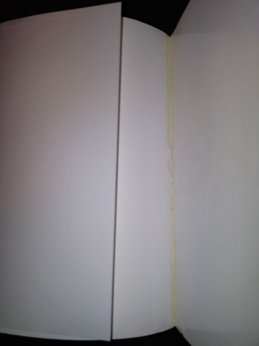 ページ破れ等あり 画像要確認※ 宝生舞 篠山紀信 写真集 ページ破れ等あり 画像要確認※ 宝生舞 篠山紀信 写真集