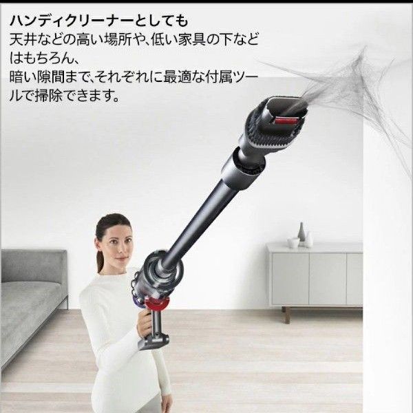 Dyson ダイソン サイクロン v10 フラフィ 掃除機 [sv12fflfbk 新品未