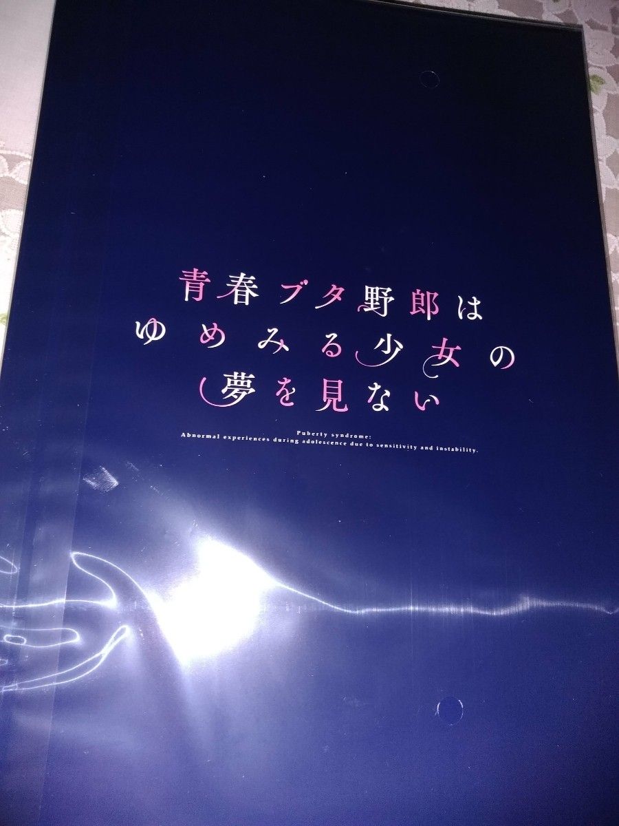 劇場版 青春ブタ野郎はゆめみる少女の夢を見ない 　豪華版　パンフレット 　特別版　青ブタ　新品・未開封 ドラマCD